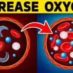 The Secret to Increasing More OXYGEN in Your Cells