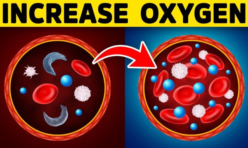 The Secret to Increasing More OXYGEN in Your Cells