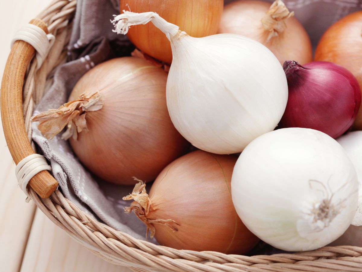 Health Benefits of Onions